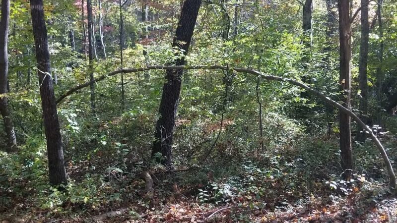 Enterprise South Nature Park - Chattanooga, TN