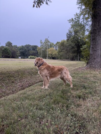 Lake Hills Park - Chattanooga, TN