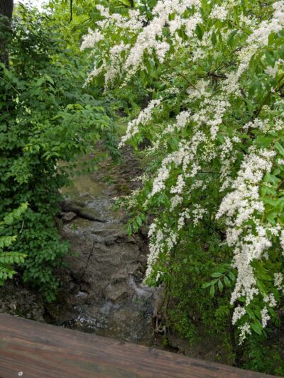 Lake Hills Park - Chattanooga, TN