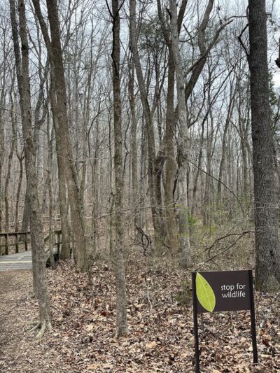 Poe Run Path Trailhead - Chattanooga, TN