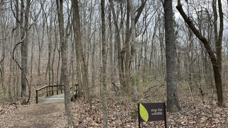 Poe Run Path Trailhead - Chattanooga, TN