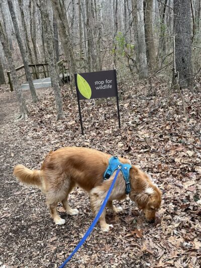 Poe Run Path Trailhead - Chattanooga, TN