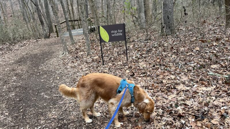 Poe Run Path Trailhead - Chattanooga, TN