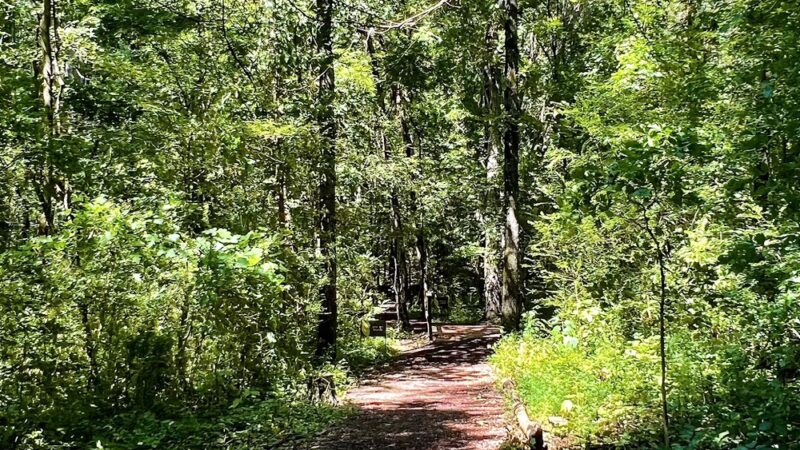 Poe Run Path Trailhead - Chattanooga, TN
