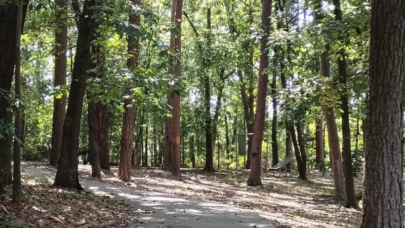 Shepherd Park - Chattanooga, TN