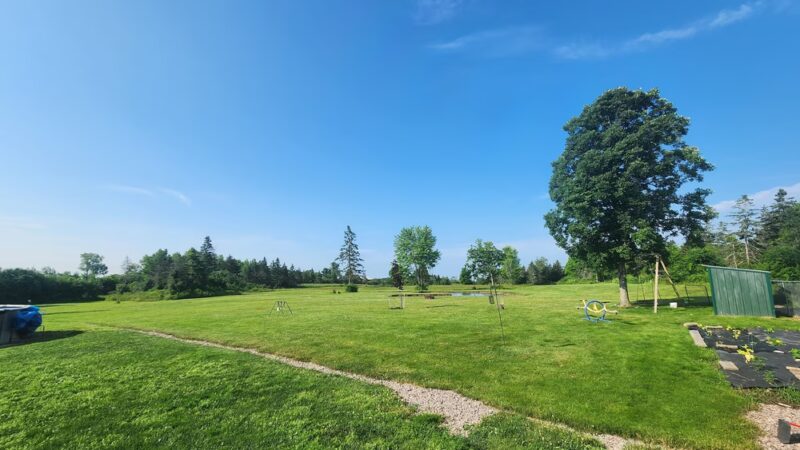 Peaks Paws Dog Boarding-Stay & Play - Chaumont, NY