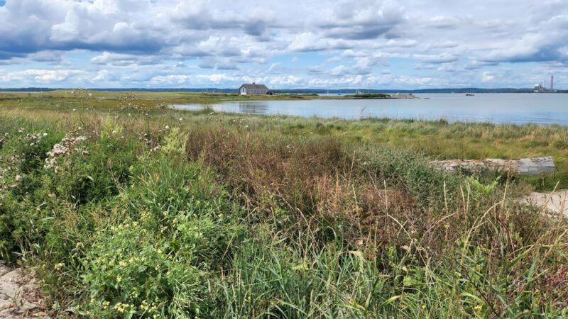 Chebeague Island - Chebeague Island, ME