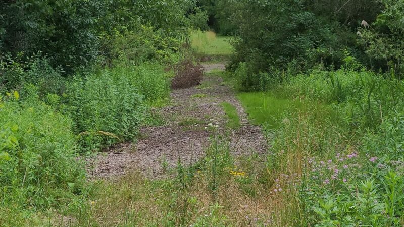 Lehigh Valley Railroad Rail Trail - Cheektowaga, NY