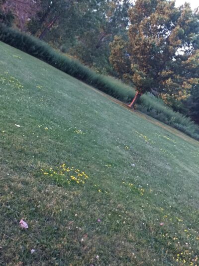 Nob Hill Park - Cheektowaga, NY