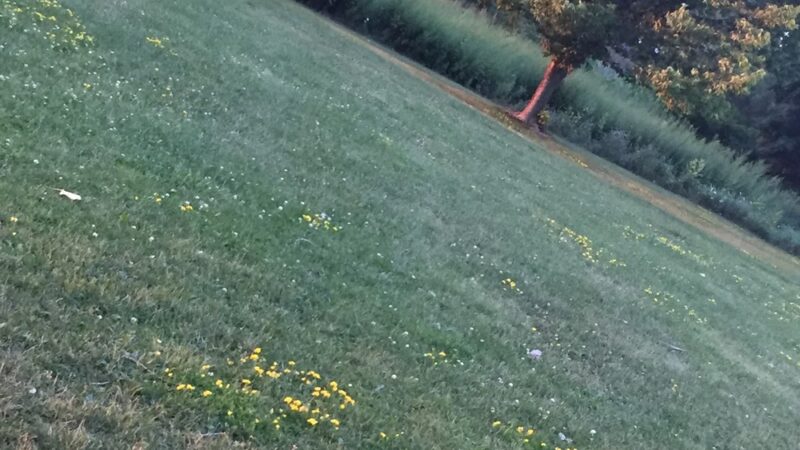 Nob Hill Park - Cheektowaga, NY