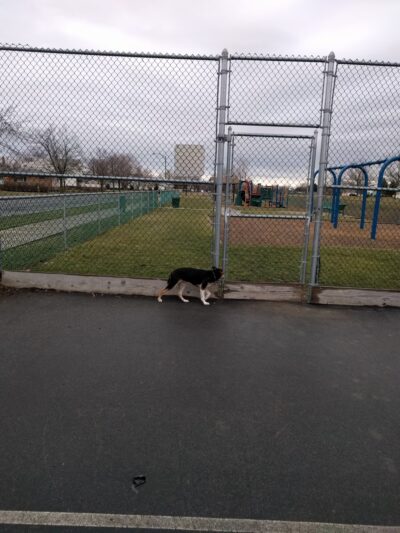 North Creek Park - Cheektowaga, NY