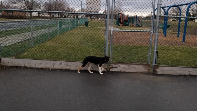 North Creek Park - Cheektowaga, NY