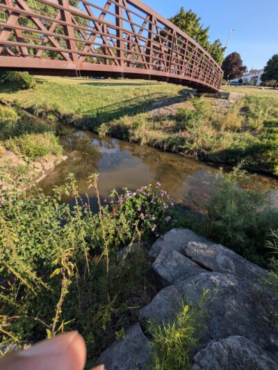 North Creek Park - Cheektowaga, NY