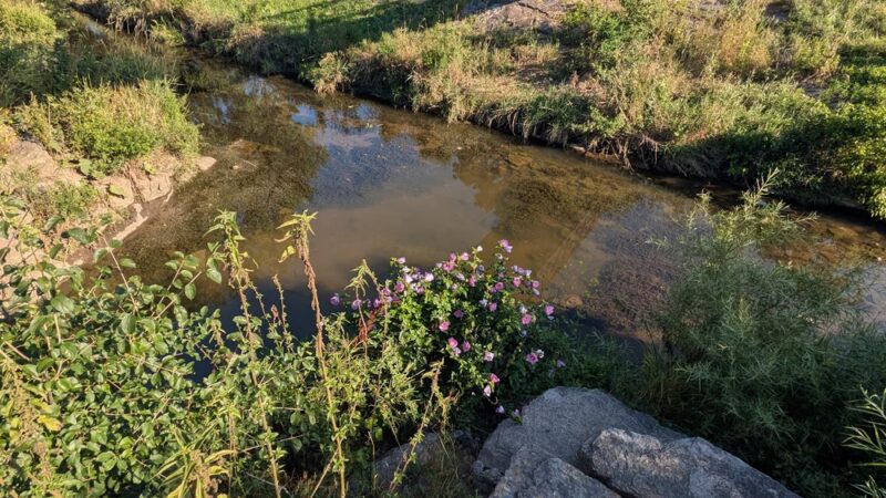 North Creek Park - Cheektowaga, NY