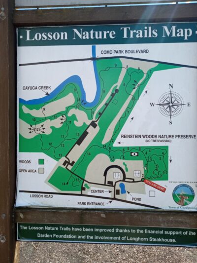 Stiglmeier Park - Cheektowaga, NY