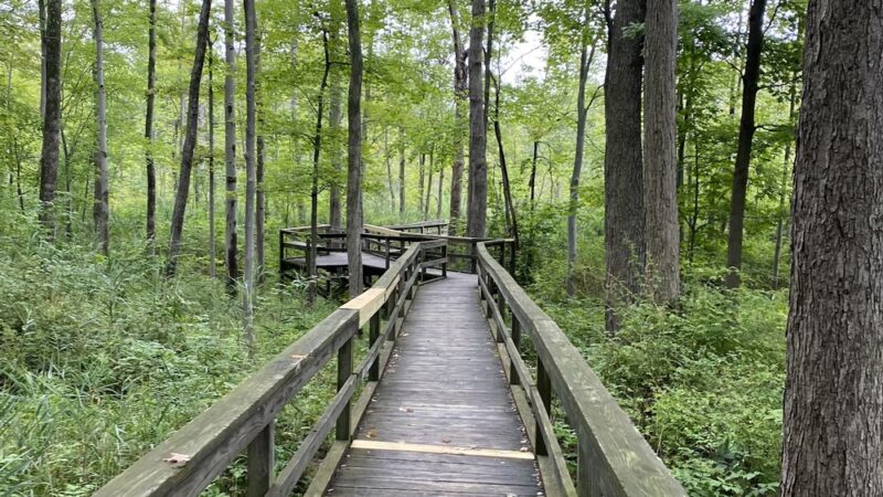 Stiglmeier Park - Cheektowaga, NY