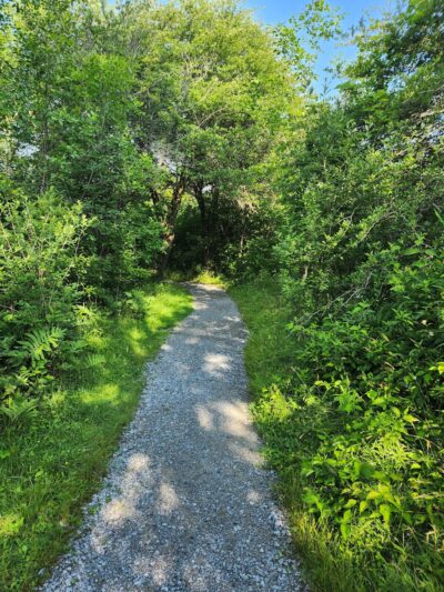 Stiglmeier Park - Cheektowaga, NY