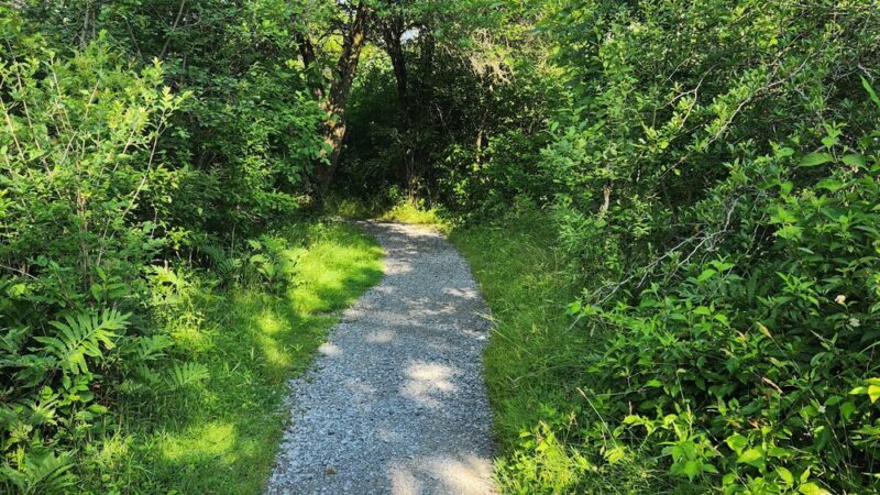 Stiglmeier Park - Cheektowaga, NY