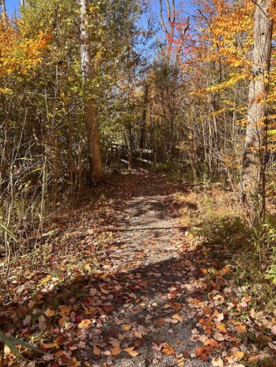Stiglmeier Park - Como Park Entrance - Cheektowaga, NY