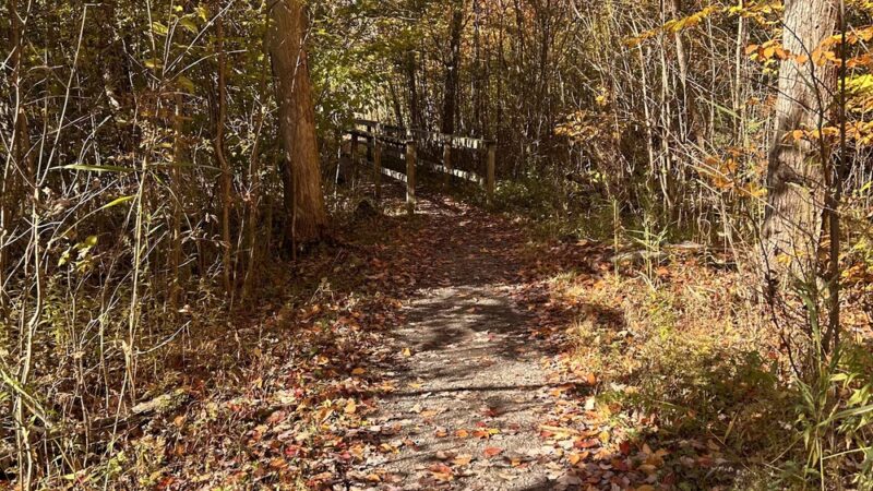 Stiglmeier Park - Como Park Entrance - Cheektowaga, NY