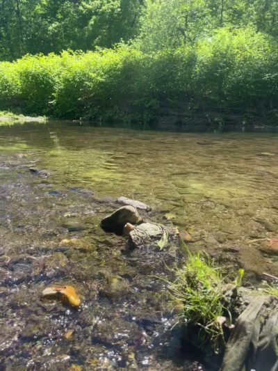 Tookany park - Cheltenham, PA