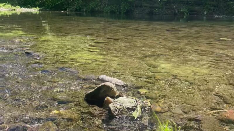 Tookany park - Cheltenham, PA