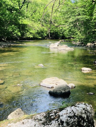Tookany park - Cheltenham, PA