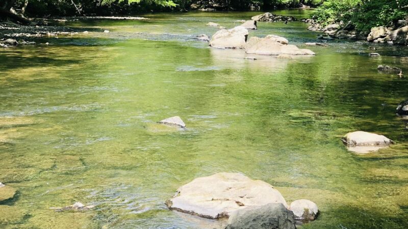 Tookany park - Cheltenham, PA