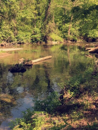 Tookany park - Cheltenham, PA