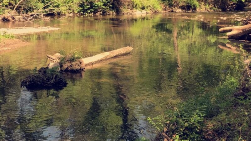 Tookany park - Cheltenham, PA