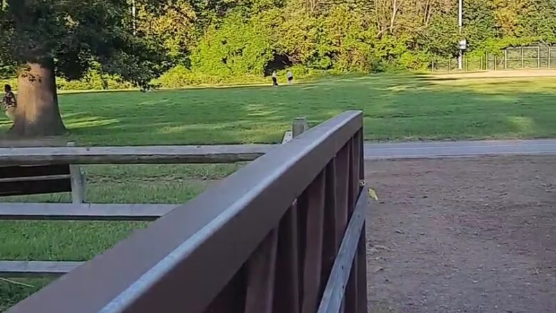 Tookany Creek Park - Cheltenham, PA