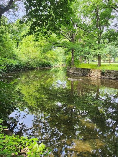 Tookany Creek Park - Cheltenham, PA