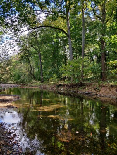 Tookany Creek Park - Cheltenham, PA
