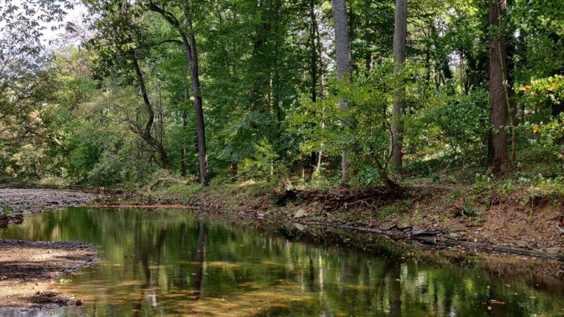 Tookany Creek Park - Cheltenham, PA