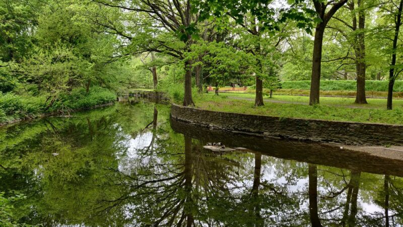 Tookany Creek Park - Cheltenham, PA