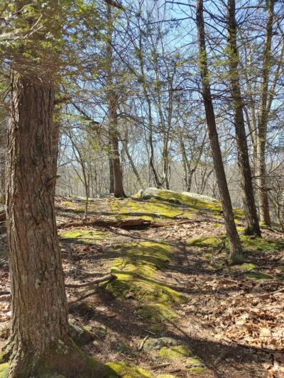Heritage Park - Chepachet, RI