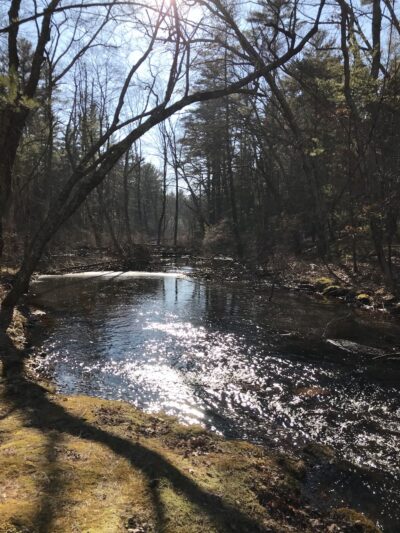 Pulaski State Park and Recreational Area - Chepachet, RI