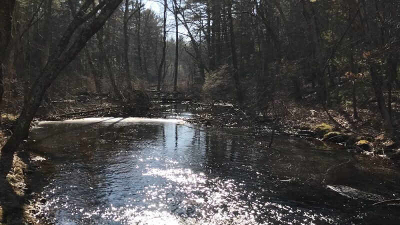 Pulaski State Park and Recreational Area - Chepachet, RI