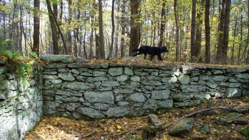 Sprague Farm Glocester Land Trust Trailhead - Chepachet, RI