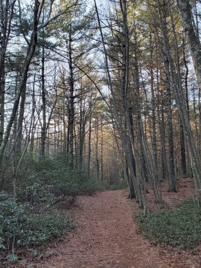 Sprague Farm Glocester Land Trust Trailhead - Chepachet, RI