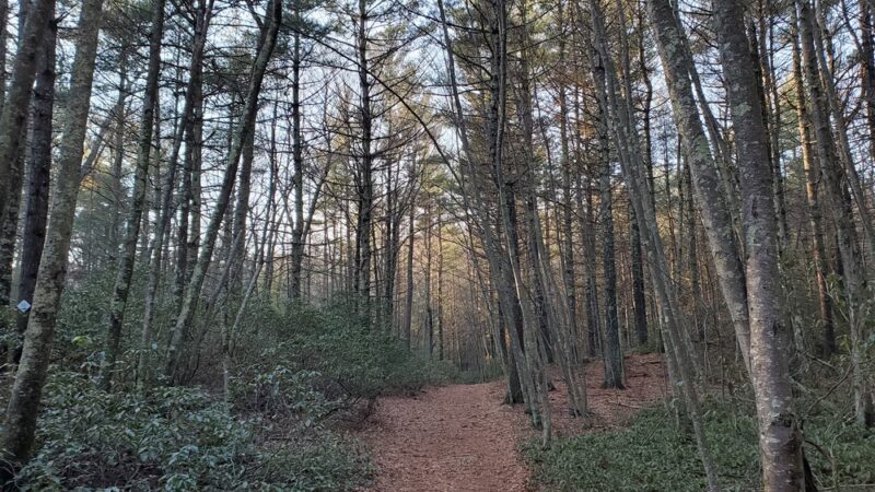 Sprague Farm Glocester Land Trust Trailhead - Chepachet, RI