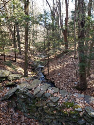 Steere Hill Glocester Land Trust Trailhead - Chepachet, RI