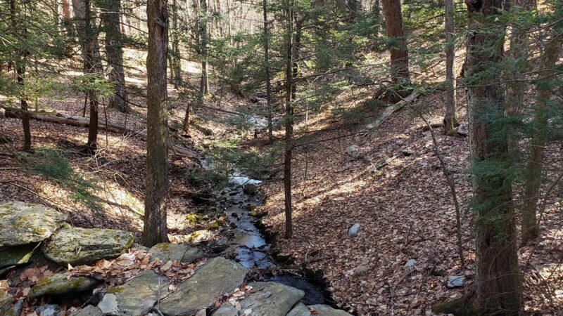 Steere Hill Glocester Land Trust Trailhead - Chepachet, RI