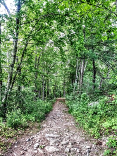 Steere Hill Glocester Land Trust Trailhead - Chepachet, RI