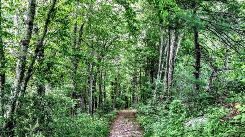 Steere Hill Glocester Land Trust Trailhead - Chepachet, RI