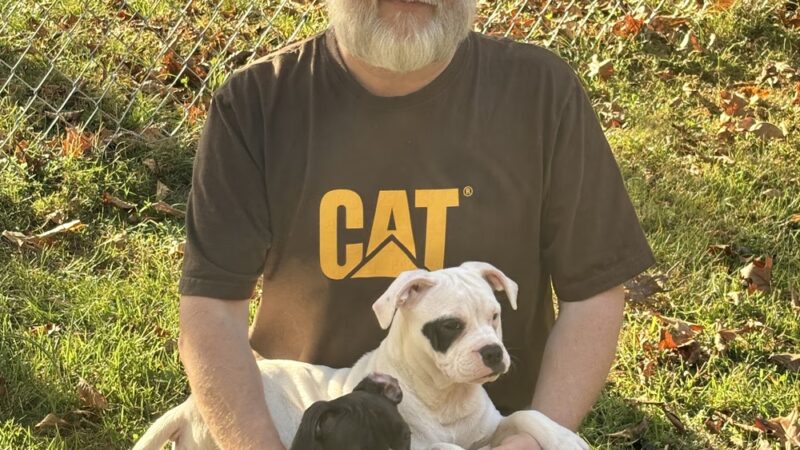 Cherokee Village Animal Control - Cherokee Village, AR