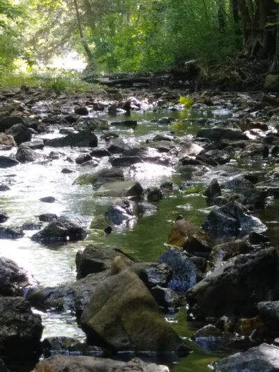 Cherokee Village Parks & Rec - Cherokee Village, AR