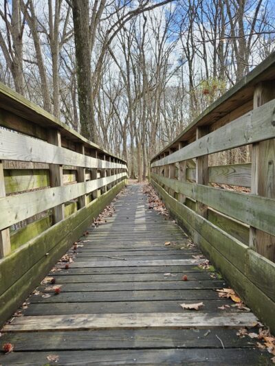Barclay Farmstead Trails - Cherry Hill Township, NJ