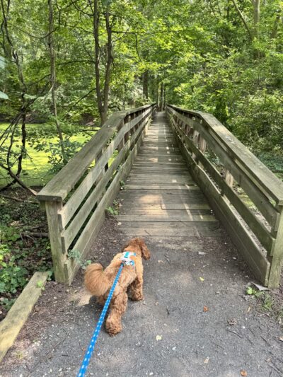 Barclay Farmstead Trails - Cherry Hill Township, NJ