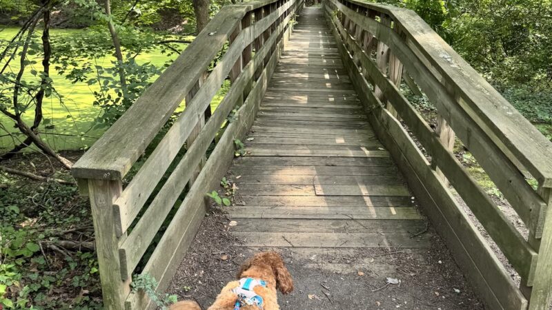 Barclay Farmstead Trails - Cherry Hill Township, NJ